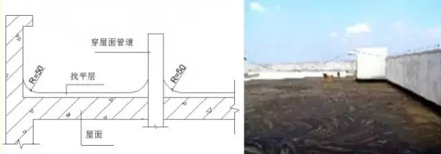 6.jpg 6.jpg