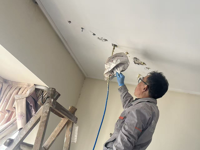 微信圖片_2026-02-05_183722_540 拷貝.jpg